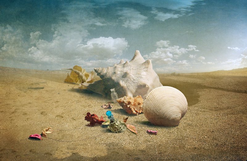 На странных берегах.photo preview