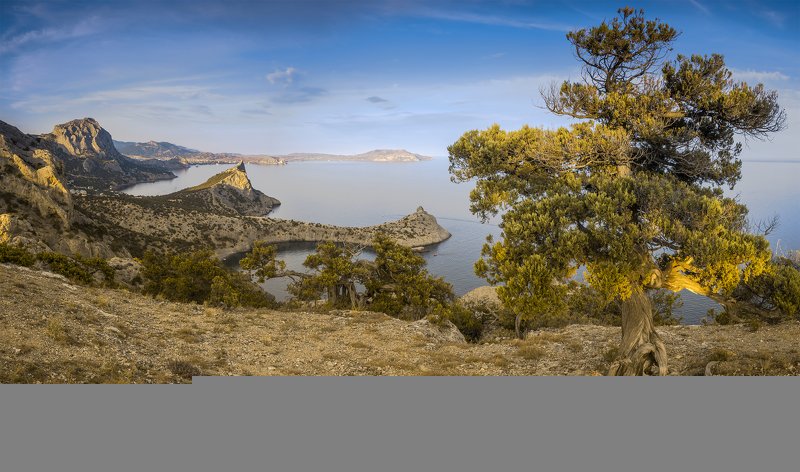 Новый Свет фото превью