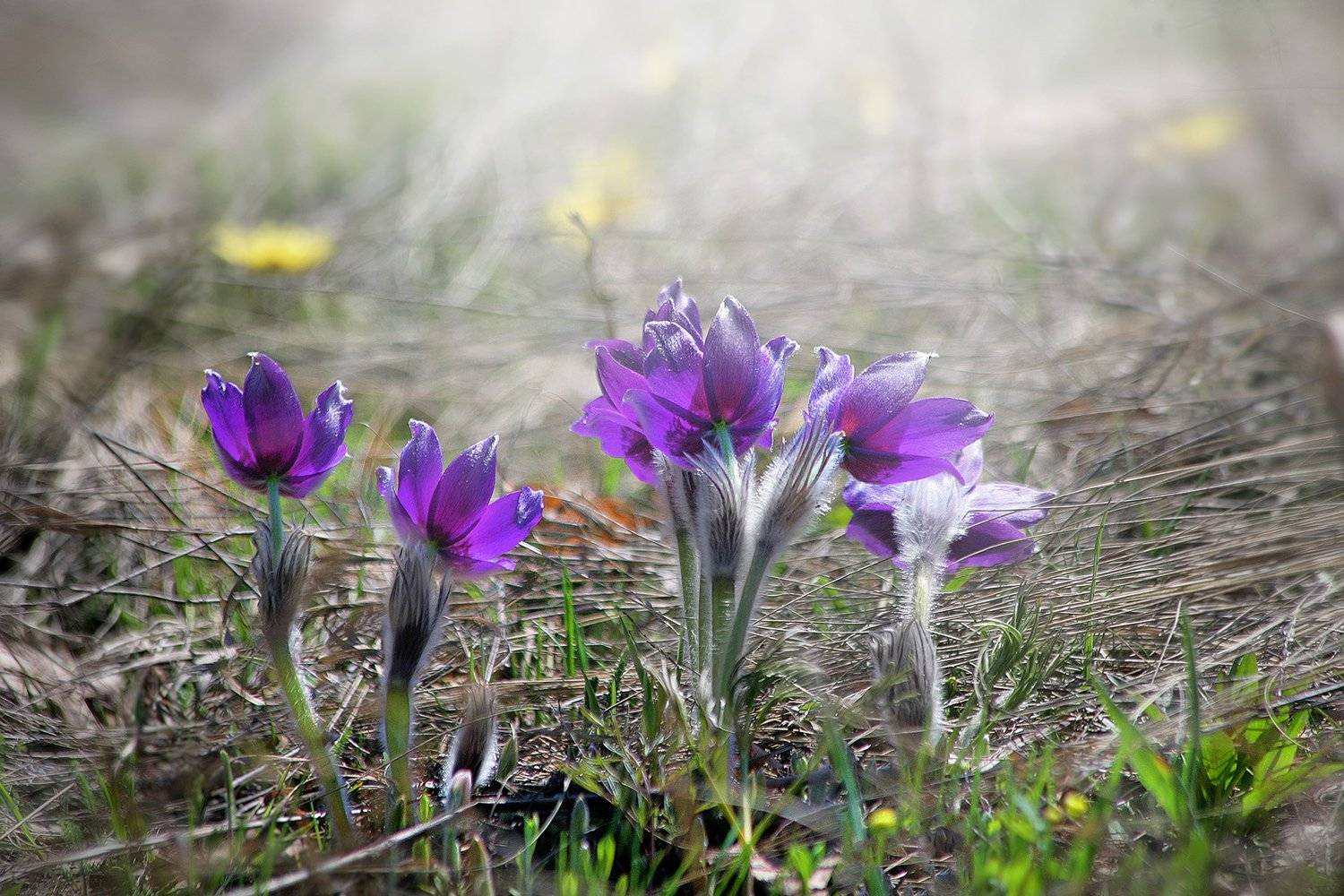 южный, урал, долгие горы, орск, новотроицк, карагай, урал, Качурин Алексей