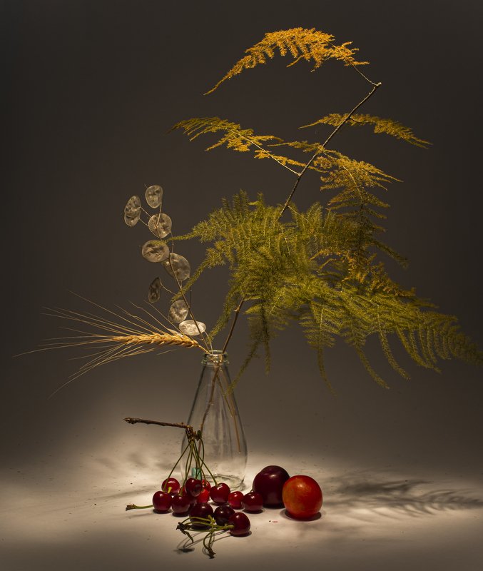 cherry, peach, bottle, light, asparagus, shadow fruitsphoto preview