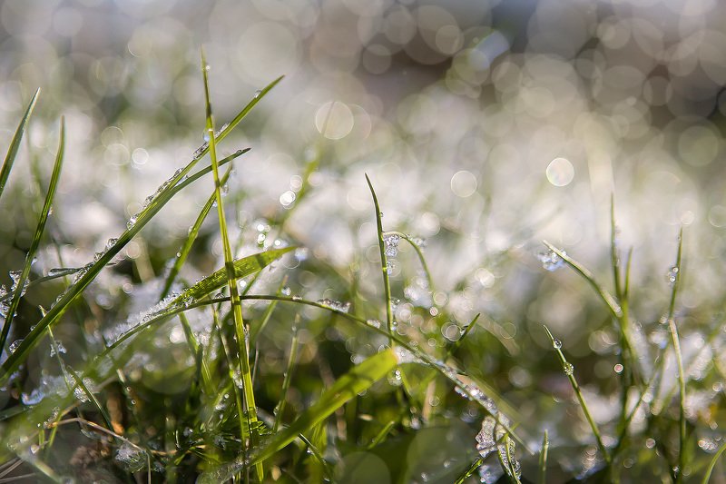 южный, урал, долгие горы, орск, новотроицк башкирия талкас Симфония росы.photo preview
