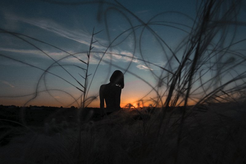 Цветущий ковыльphoto preview