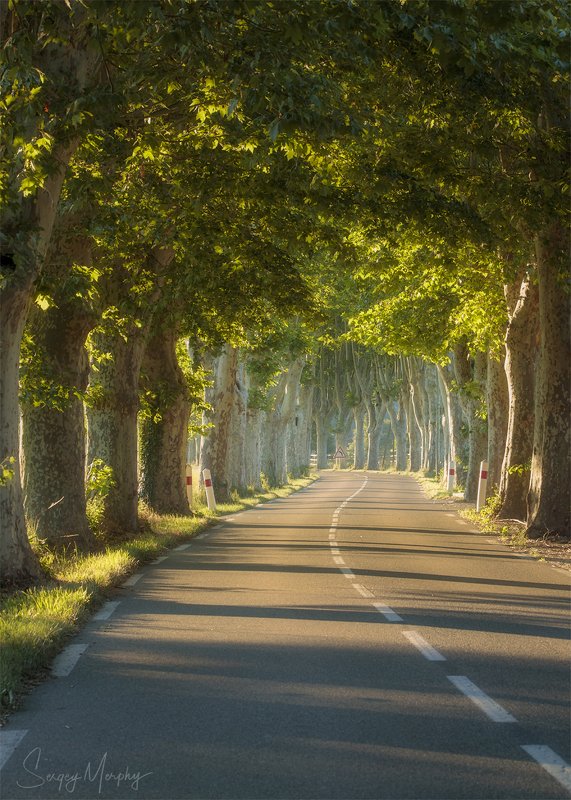 provence road valley morning sun Provence. Road valley & morning sun.photo preview