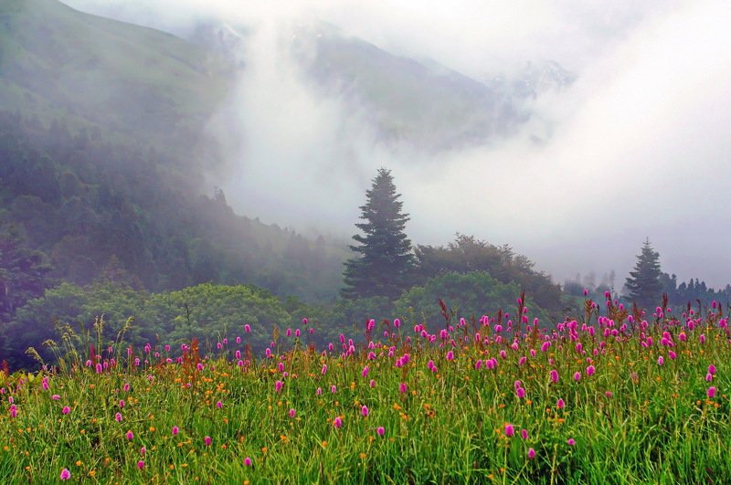 лето горы дождь В горах.photo preview