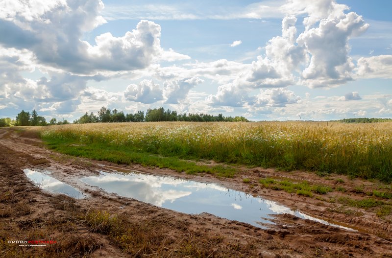 пейзаж,природа,поле,небо,облака,рожь, Июль.photo preview