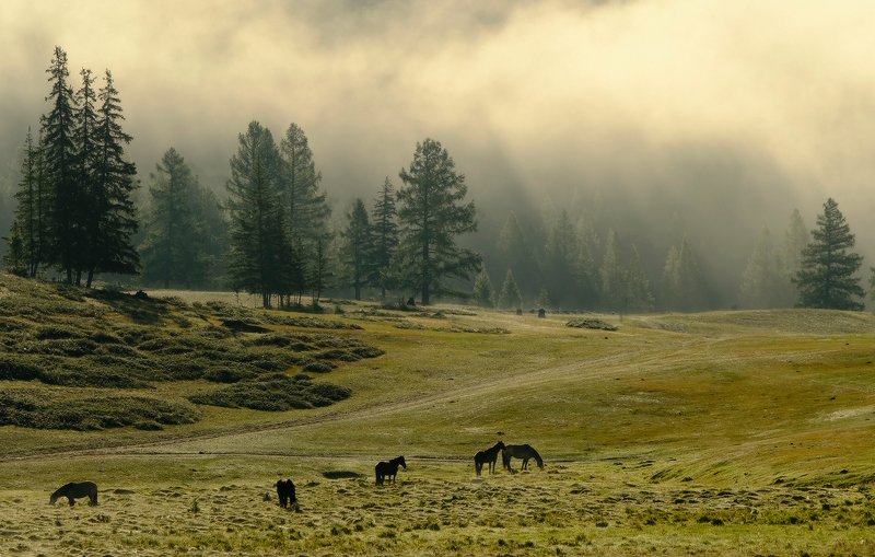 Алтайское утроphoto preview