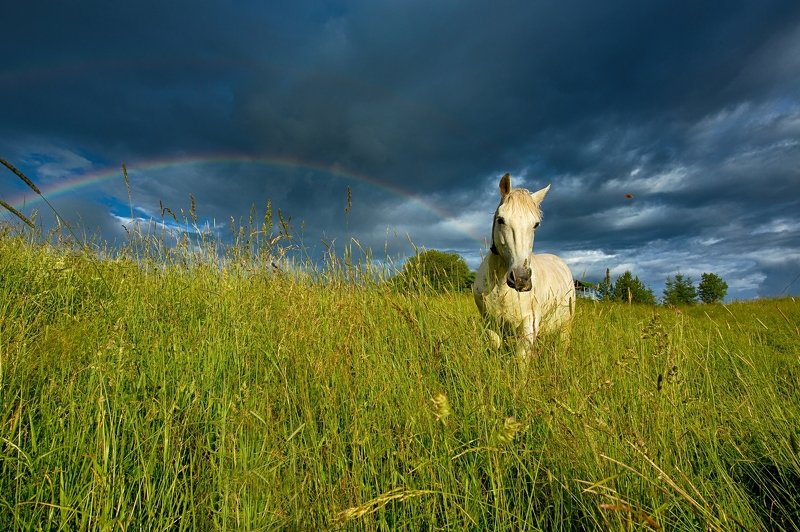 про БаБочку)photo preview