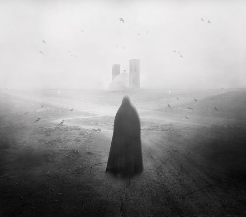 FineArt  The Pursuit Of Truthphoto preview