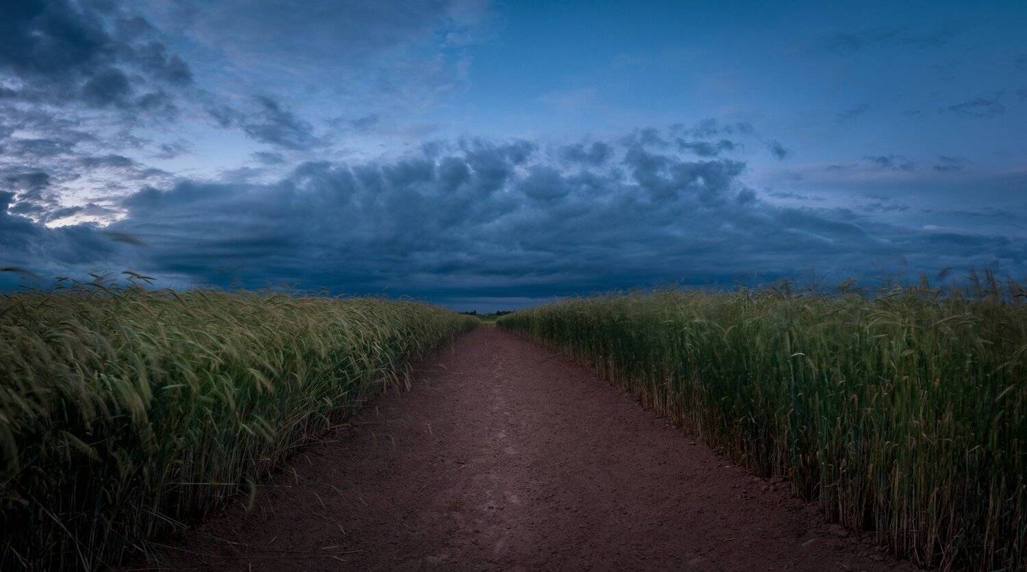 псков, Roman Dmitriev