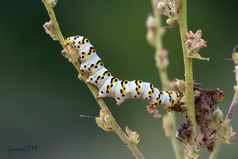 ЖИЗНЬ УДАЛАСЬ!photo preview