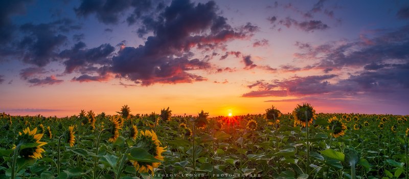 #landscape #nature #scenery #forest #wood #autumn #mist #misty #fog #foggy #river #waterfall #longexposure #mountain #vitosha #bulgari #aтуман #лес #oсень ***photo preview
