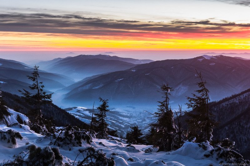 карпаты, украина, пишконя, пішконя Вечер на Ясновцеphoto preview