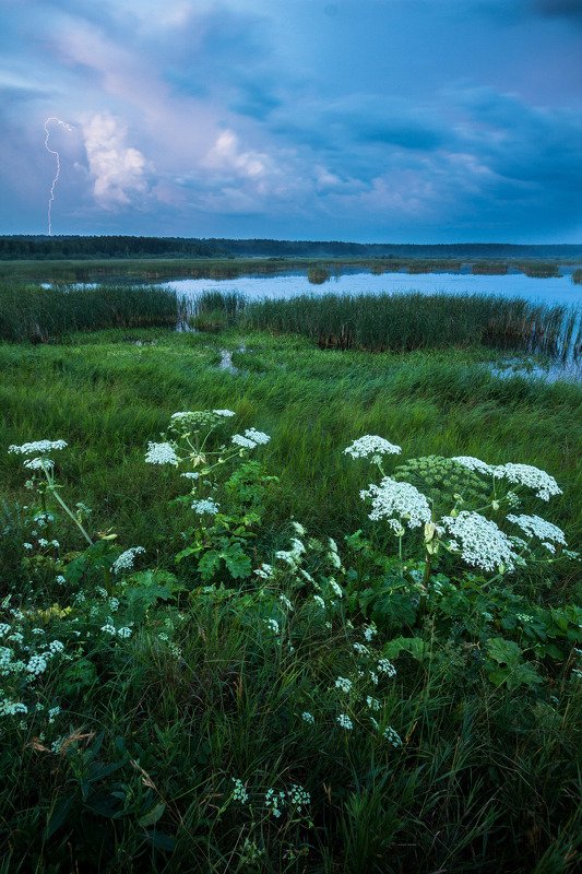 В ожидании ...photo preview