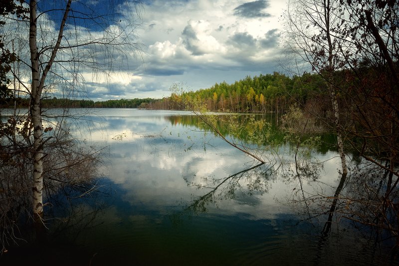 лес, природа, пейзаж, лето, подмосковье Летоphoto preview