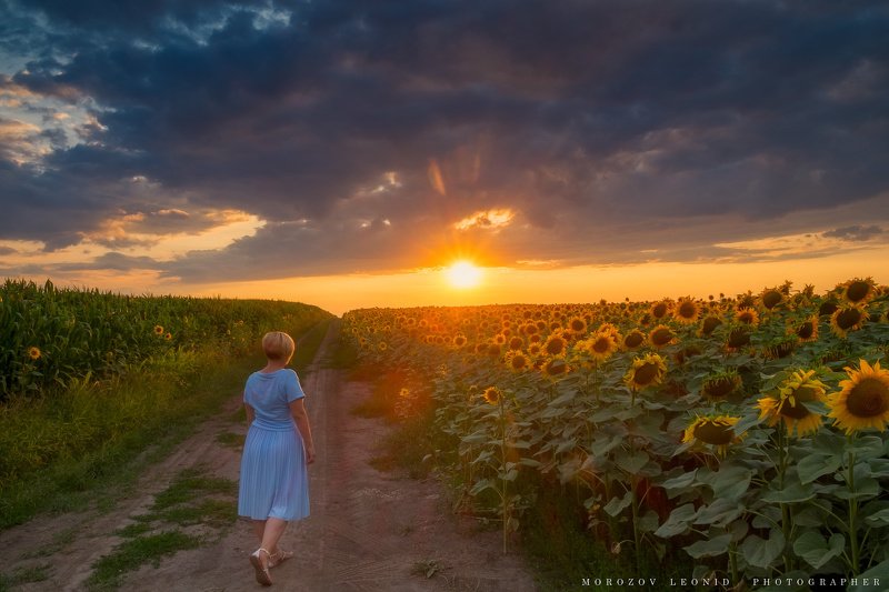 #landscape, #nature, #scenery, #forest, #wood, #autumn, #mist, #misty, #fog, #foggy, #river, #waterfall, #longexposure, #mountain, #vitosha, #bulgari, #aтуман, #лес, #oсень дорога....photo preview