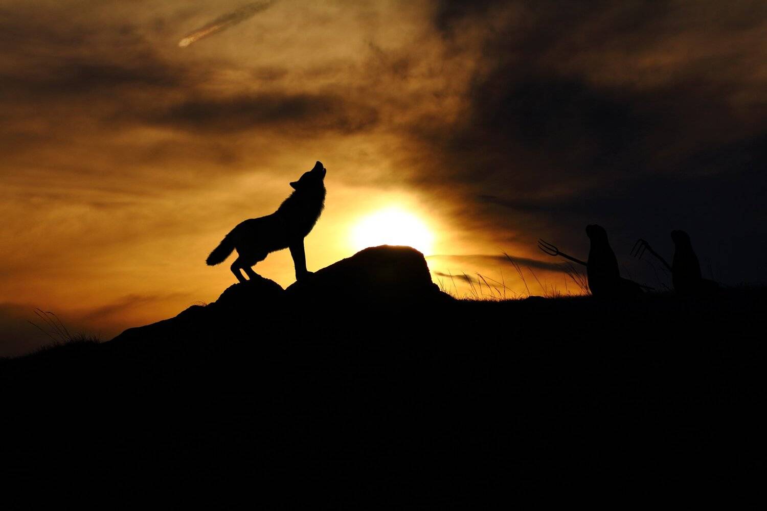 креатив, обработка, концепция, противостояния, concept, oppositions, guests, enemy, baikal, horror, Дмитрий Салтыков