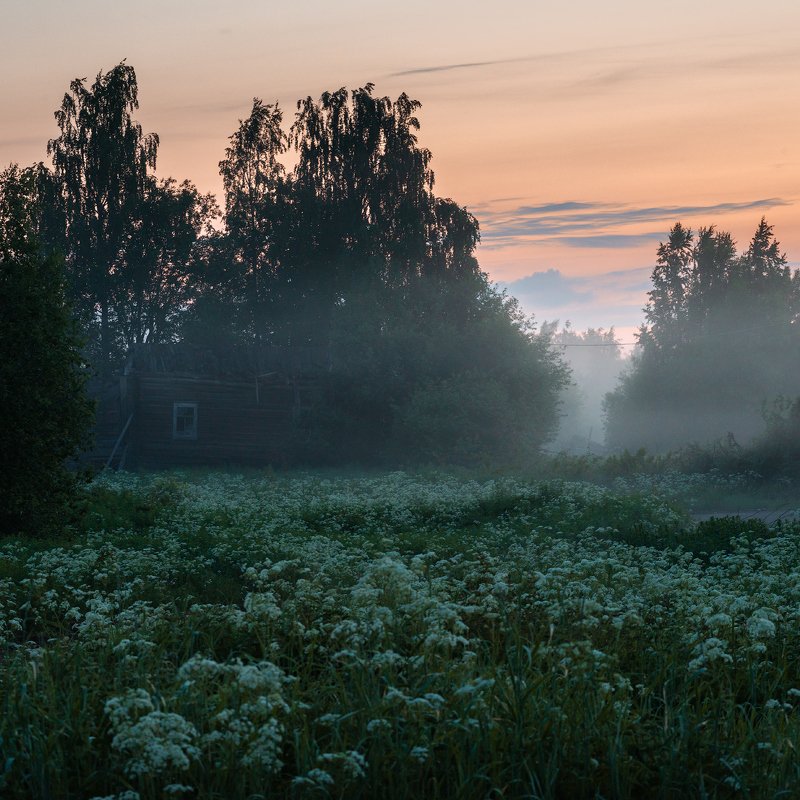 великий двор,вологодчина,кема,север,лето, Ночь.photo preview
