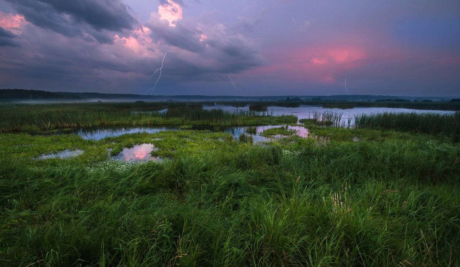, Александр Казин