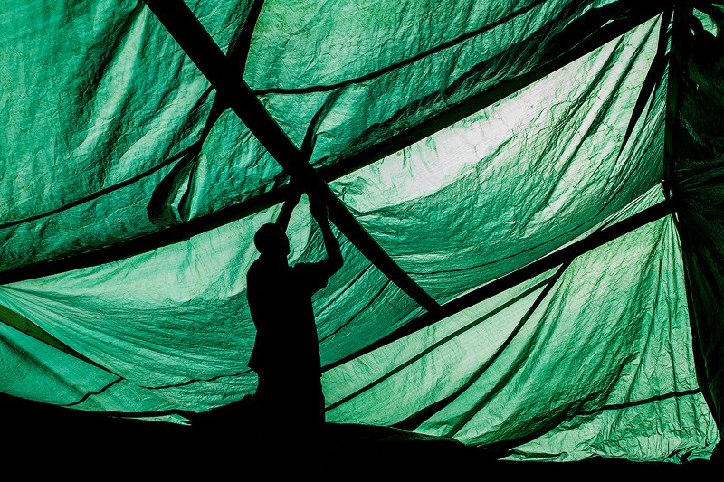 zebrophoto andrey veselov  андрей веселов  photo preview