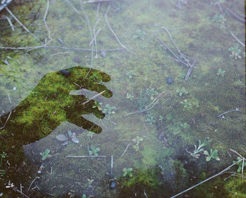 The Moss Manphoto preview