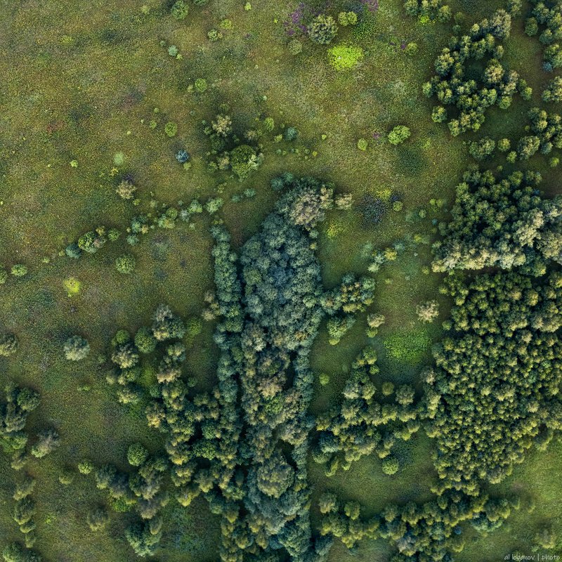 Иконаphoto preview