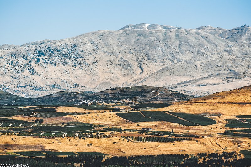 Голаныphoto preview