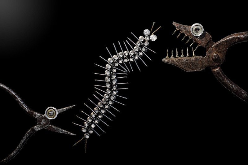 сороконожка, концепция, инструменты, centipede, prey, victim, concept, installation, creative, tools Жертва...photo preview