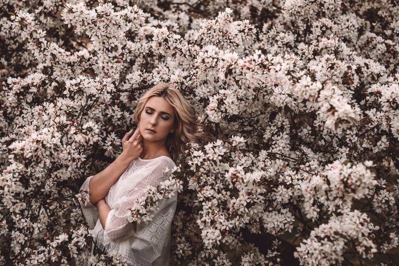portrait, female, trees, nature, sun, portraiture, blossom Blossomphoto preview