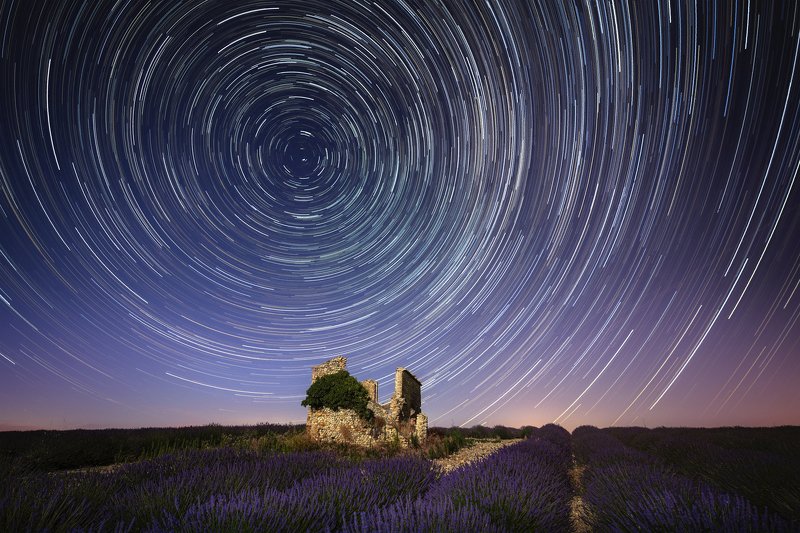 Lavender nightphoto preview