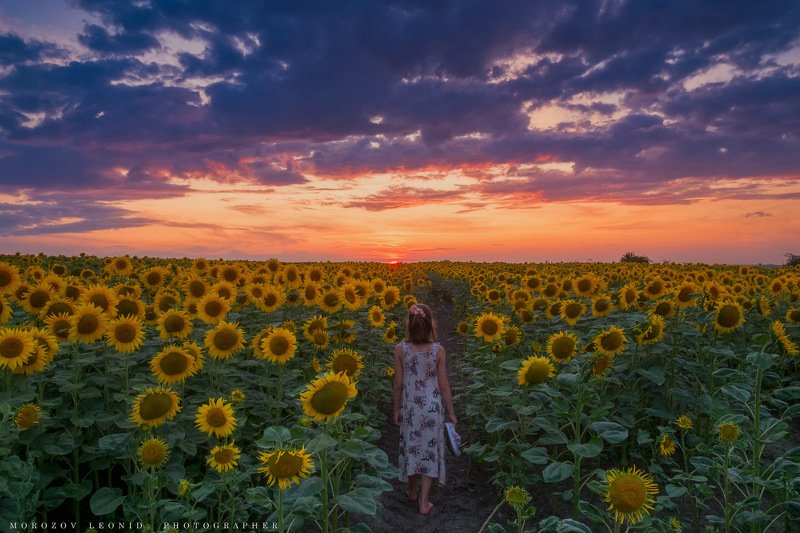 #landscape, #nature, #scenery, #forest, #wood, #autumn, #mist, #misty, #fog, #foggy, #river, #waterfall, #longexposure, #mountain, #vitosha, #bulgari, #aтуман, #лес, #oсень ***photo preview