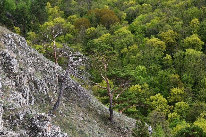 жигулёвские горы и волга Жигулёвские горы и Волгаphoto preview