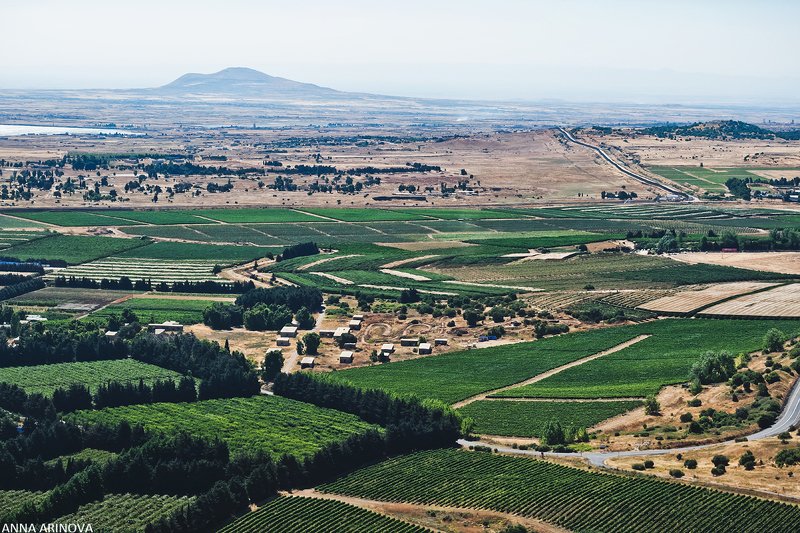 Голаныphoto preview