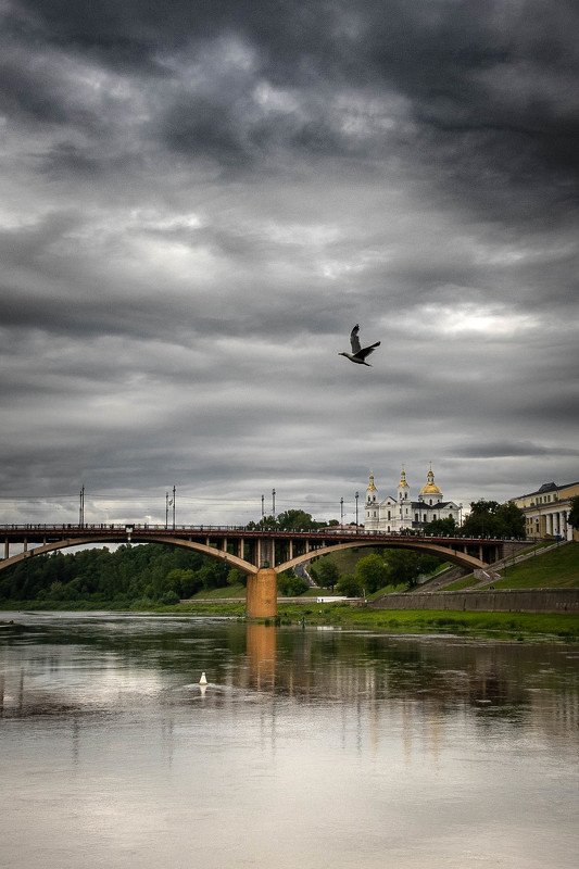 Чайкаphoto preview