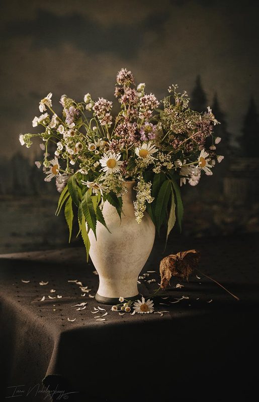 Полевыеphoto preview