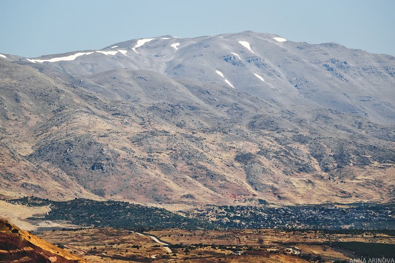 Голаныphoto preview