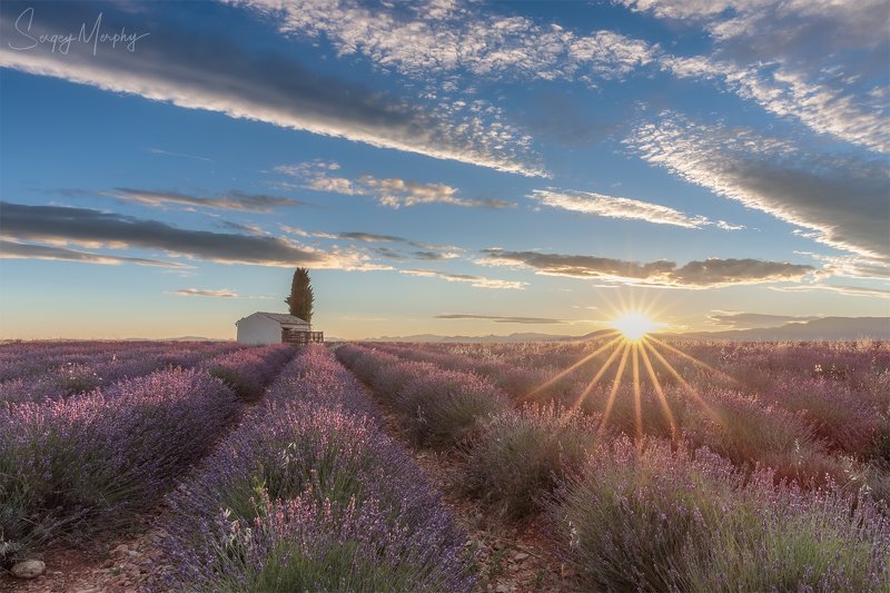 sunrise lavender fields Sunrise on Lavender fields.photo preview