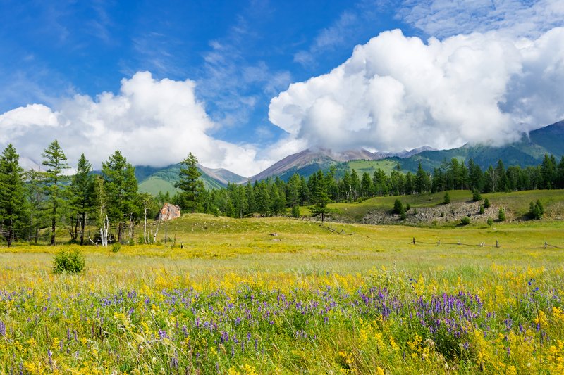 июль в Саянахphoto preview