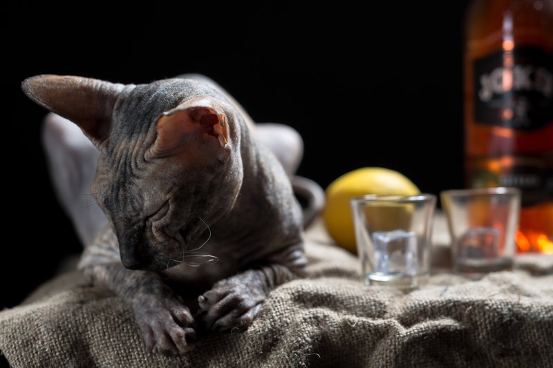 ВСЁ.... Больше не могу...photo preview