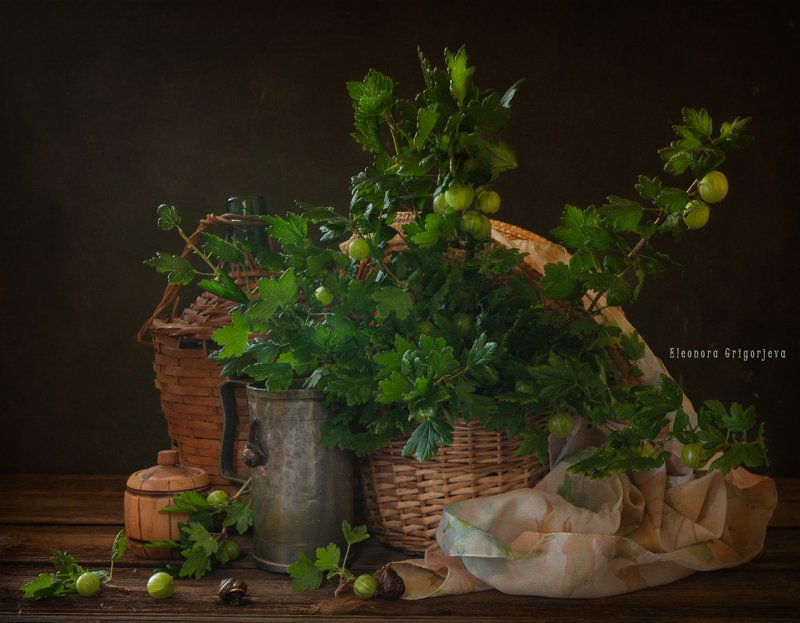 Натюрморт с зелёным крыжовникомphoto preview