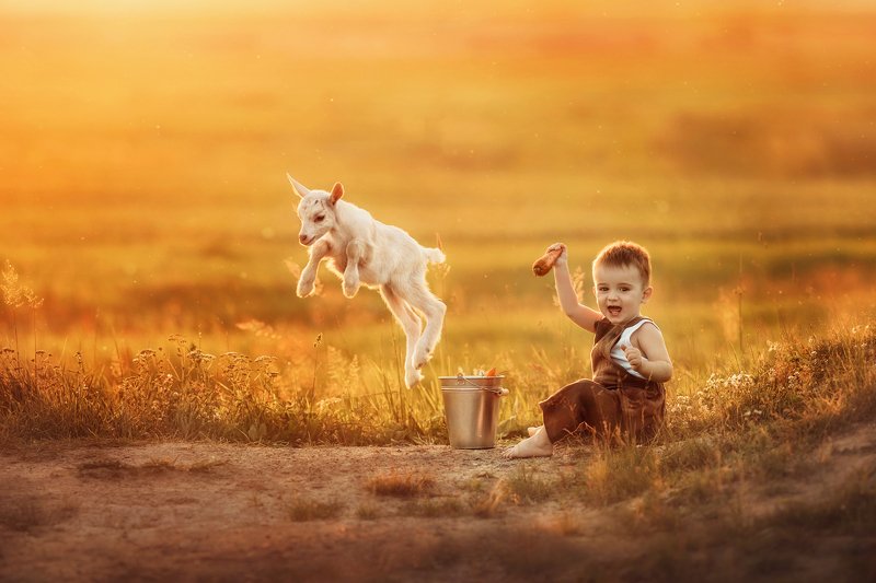 Трюк за морковку)photo preview