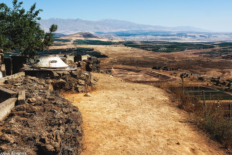 Голаныphoto preview