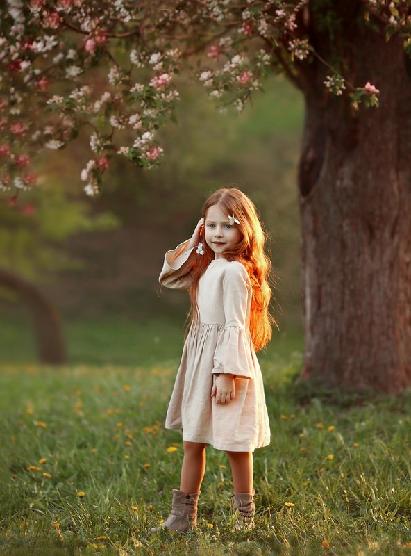 Яблоневый цветphoto preview