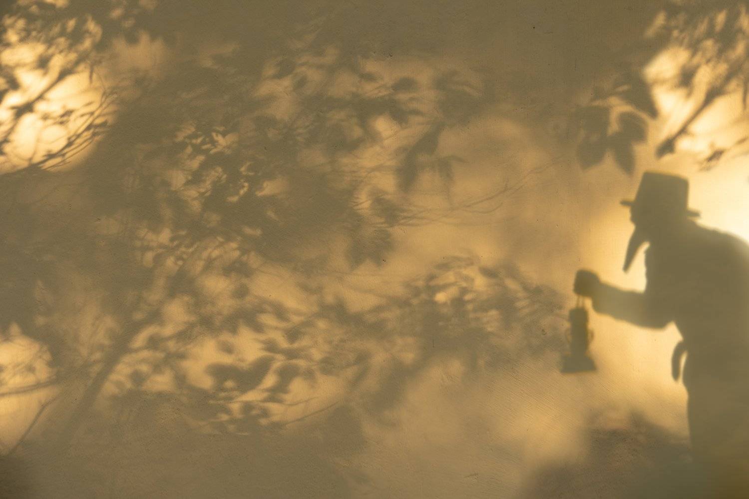 Летняя сказка. Автор: Светлана , Светлана