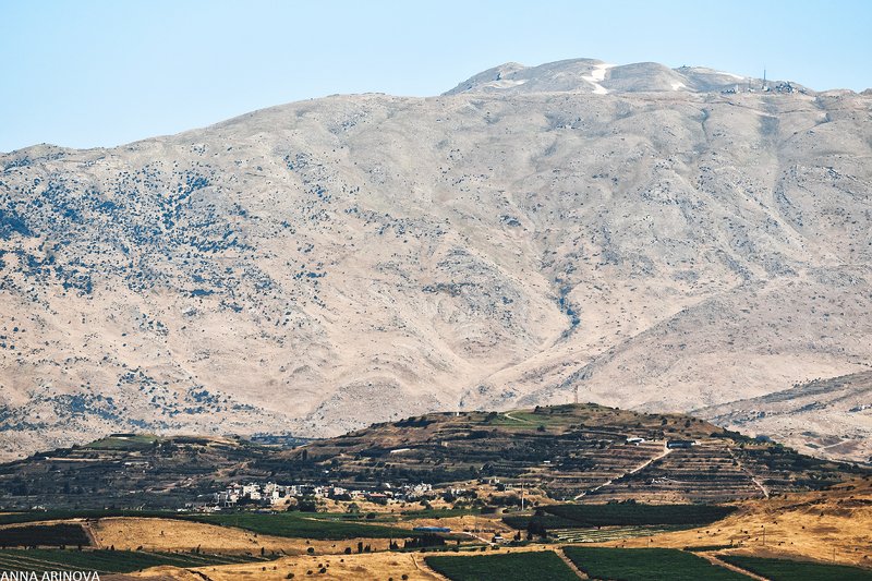 Голаныphoto preview