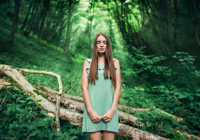 лес, forest, лучи, rays, трава, grass, модель, model Deep in the forestphoto preview