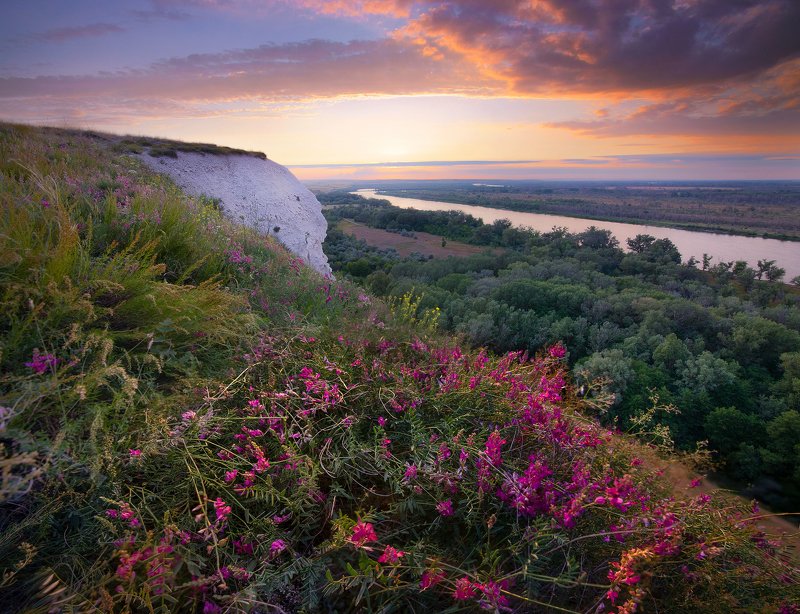дон, цветы, меловые горы, токина photo preview