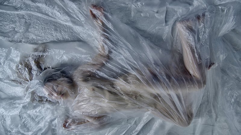 девушка Девушка под плёнкойphoto preview