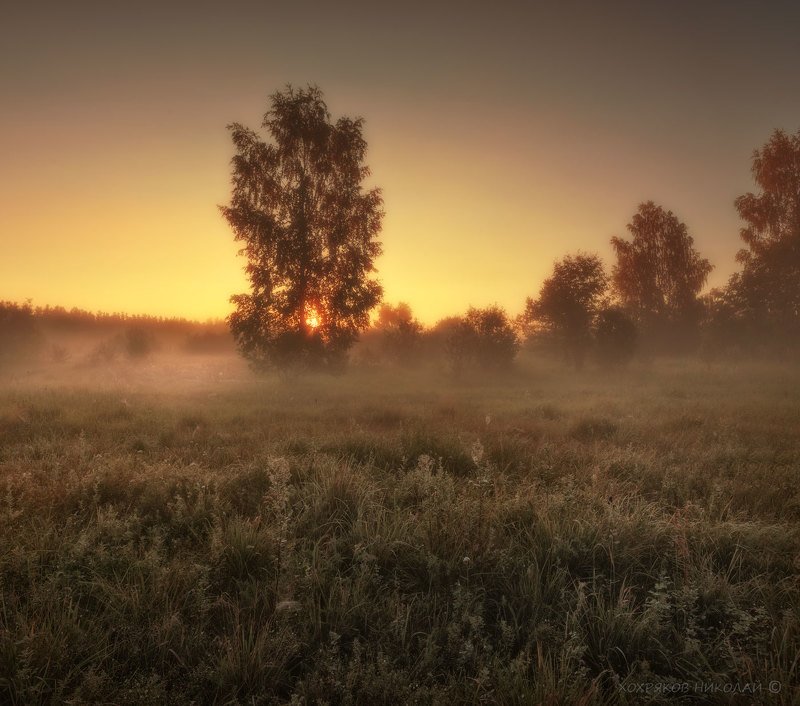 луговая-росная...photo preview