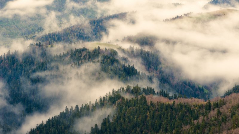 Немного о туманахphoto preview