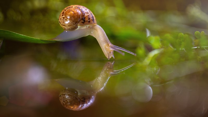 Ты кто?photo preview